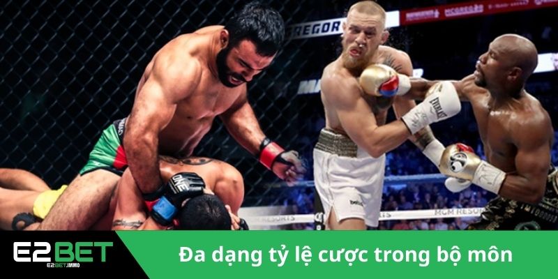 Đa dạng tỷ lệ cược trong bộ môn 