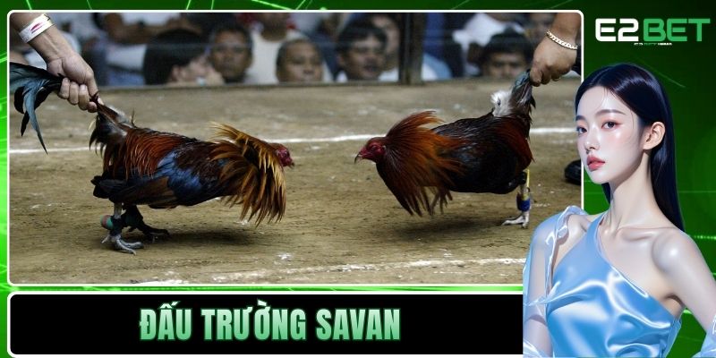 Đấu trường Savan